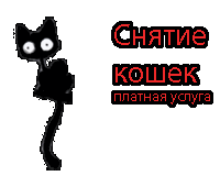 Снятие кошек