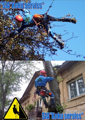 Спиливание опасных деревьев